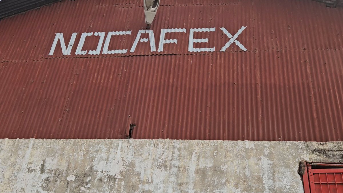 Alexis MONDONGE BAMBULU tweet media