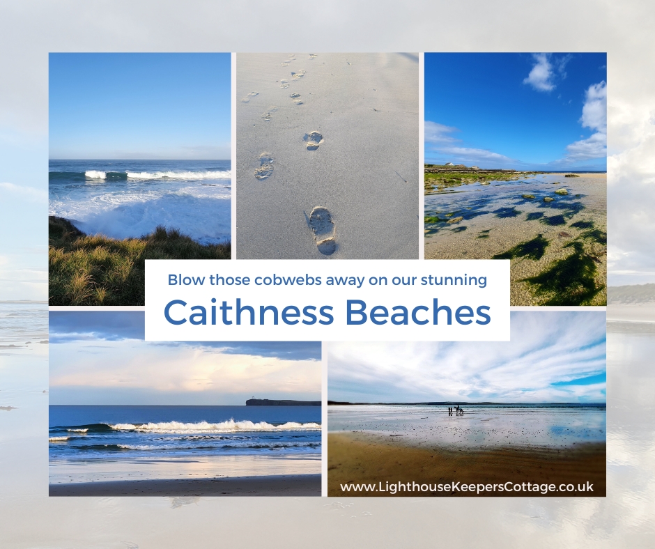 It is International #BeachDay 

We have big beaches, small beaches, sandy beaches, rocky beaches - but every one is a gem, here in Caithness.

Book your escape to Relax at the Edge of Nowhere: lighthousekeeperscottage.co.uk/book-now

#selfcatering #holidaycottage
#nc500 #nc500route  #scotland