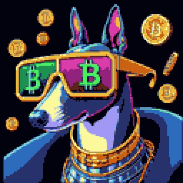 BitShades_com's tweet photo. Did you know? In Dec 2017, #Bitcoin soared to $20,000, showing its growing allure. ๐
This sleek Greyhound is all about the Bitcoin life, just like you! #CryptoCanines
#Ordinals #Bitshades #Dogs #DigitalArt https://t.co/jJH452OKGw