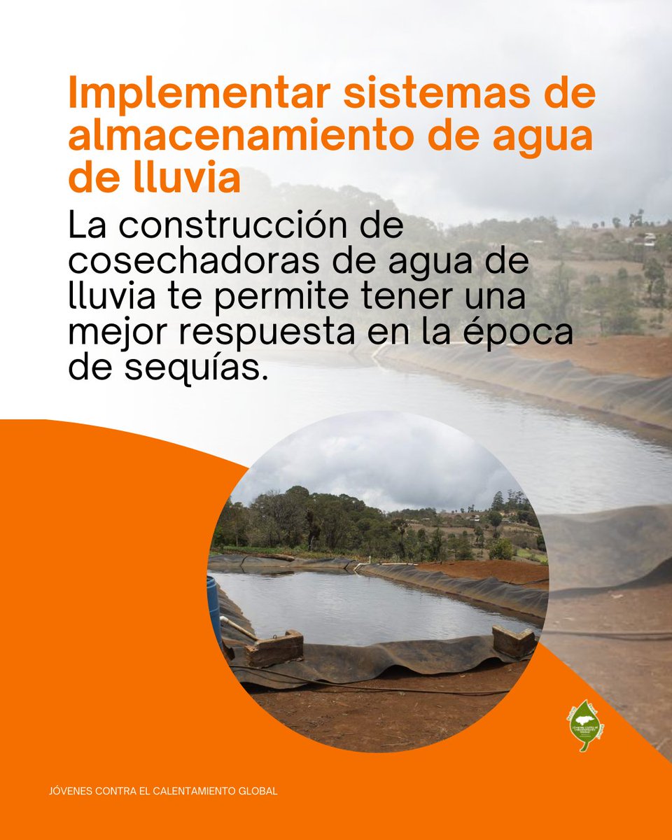 La agricultura es fundamental para la vida pero también una de las industrias que más CO2 producen. 

¡Los #JCCG🍃 te presentamos 3 maneras de volver la agricultura más sostenible! Conócelas aquí 👇