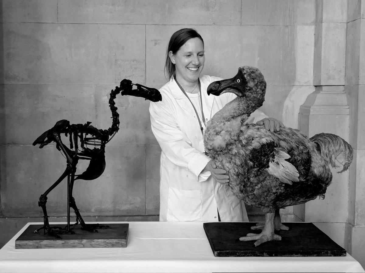 NatHistConservation tweet media