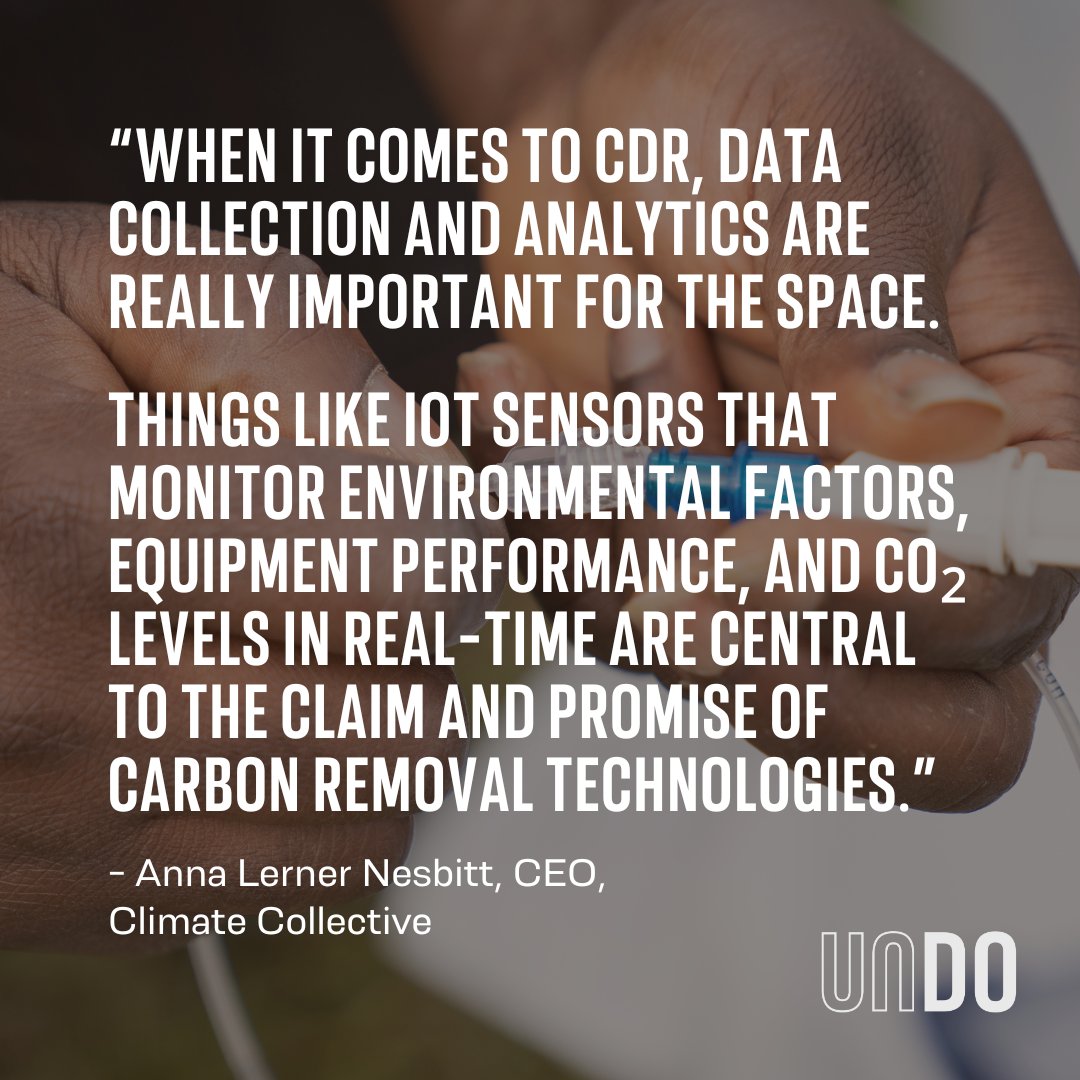 UNDO │ Carbon Removal tweet media