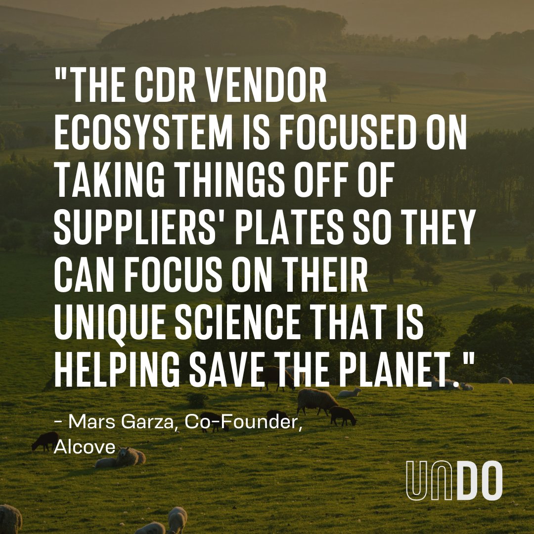 UNDO │ Carbon Removal tweet media