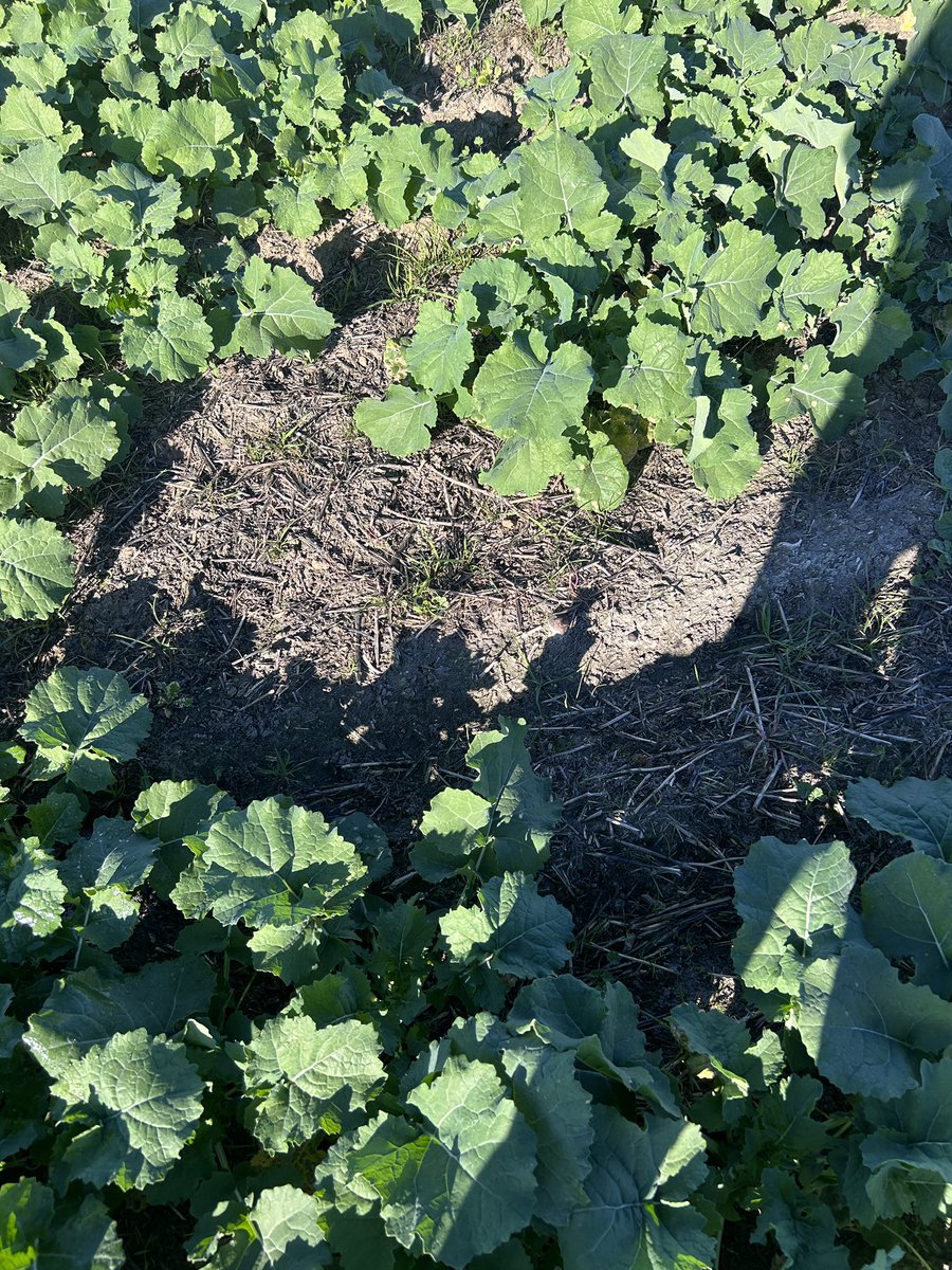 Pretty excited to be on tour of the Esperance region…fyi I’m seeing lots of sand, water logging and scale ..