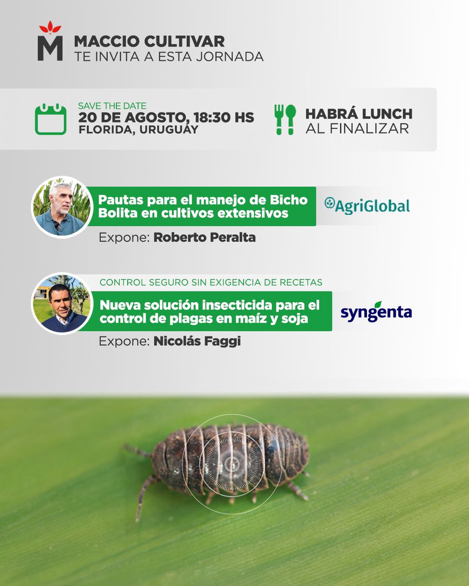 Andrea Larrosa tweet media