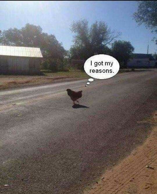 Hilarion tweet media