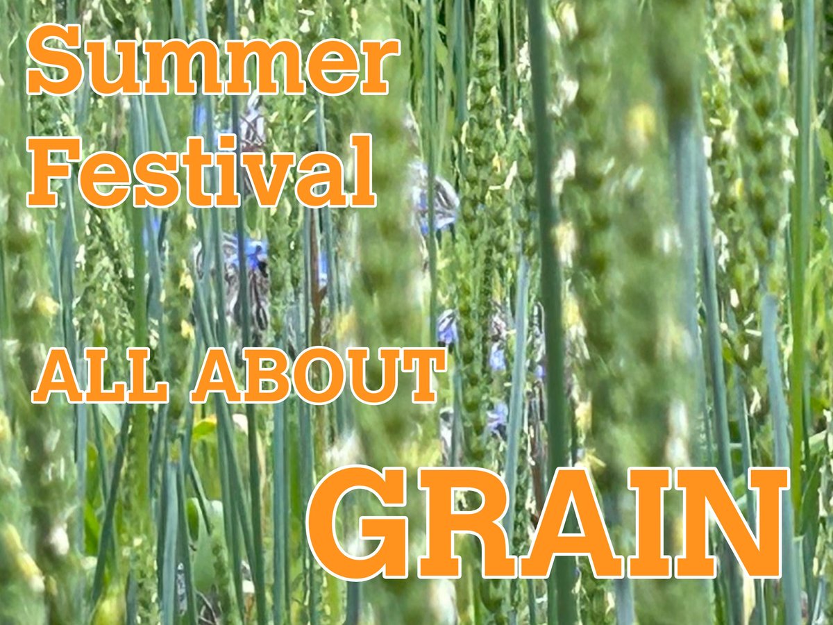 Hospitalfield's tweet photo. Buy your ticket for the Hospitalfield Summer Festival All About GRAIN
Saturday 17 August, 11am - 7pm

Celebrate the food and drink of Angus with a day of eating drinking, learning, bread-making talking, music and dancing

Tickets: £6, £12 or £24

https://t.co/mQZE6QUN9q https://t.co/bx3D3cuZ2B