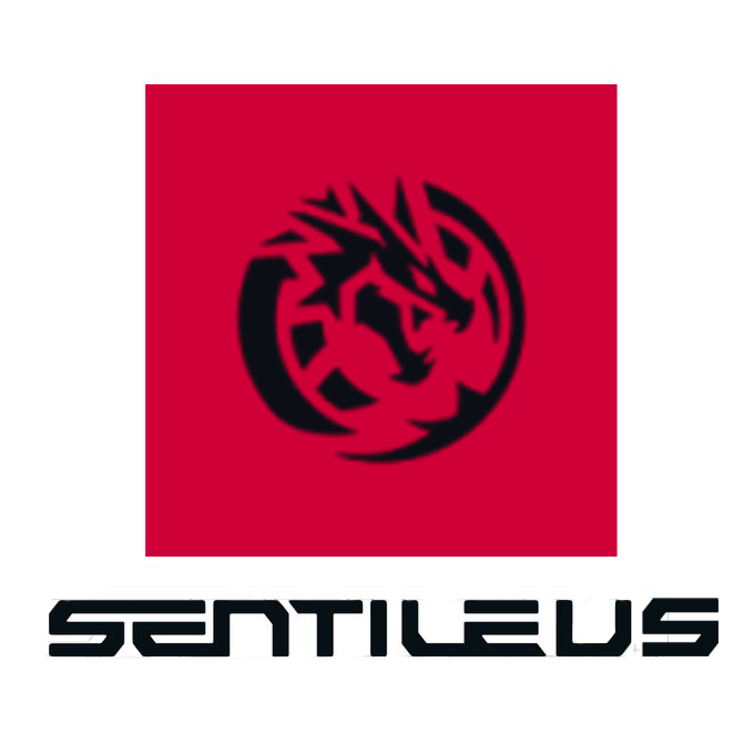 LeviatanTR's tweet photo. Heey @Sentinels we beat KRU for you. Beat Gen G for us🫂 https://t.co/EDh4fi2P6h