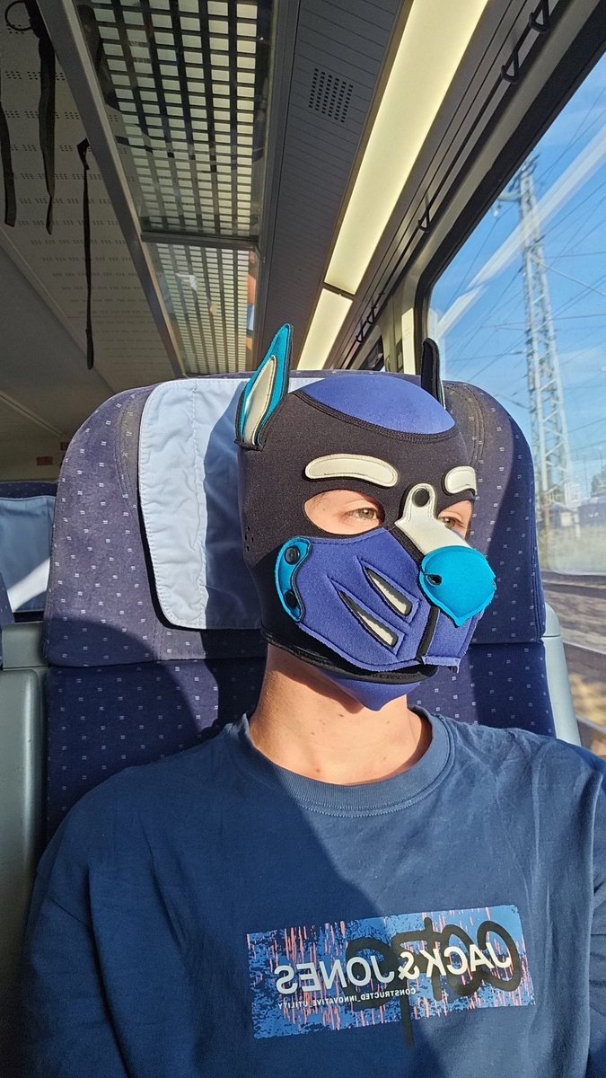 wavee 🐾 tweet media