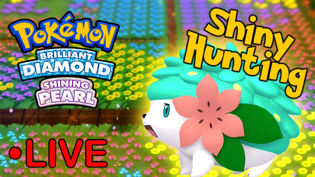 NoDexLife's tweet photo. Going Live On Twitch!  
Pokemon BDSP: Shiny Shaymin Hunting (3825+ Encounters)  
https://t.co/lfNgNAbdIa https://t.co/niKsdKbbnf