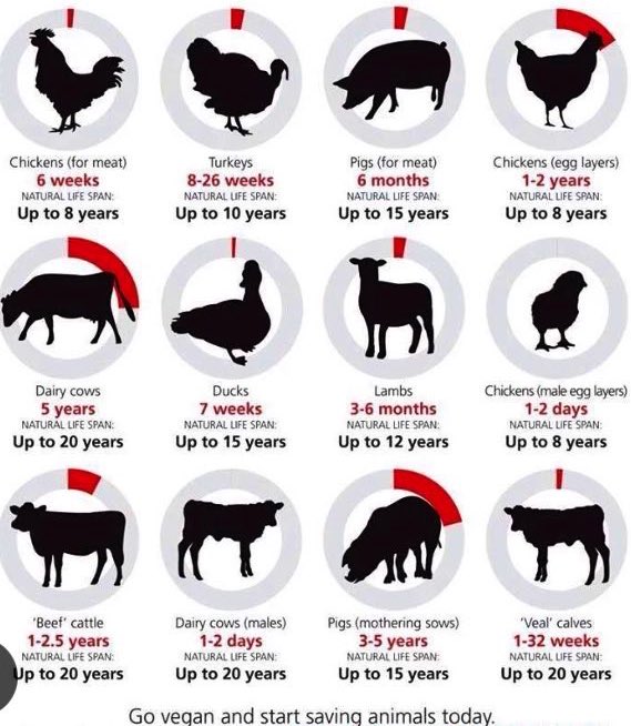 Sherry w/ a whY tweet media