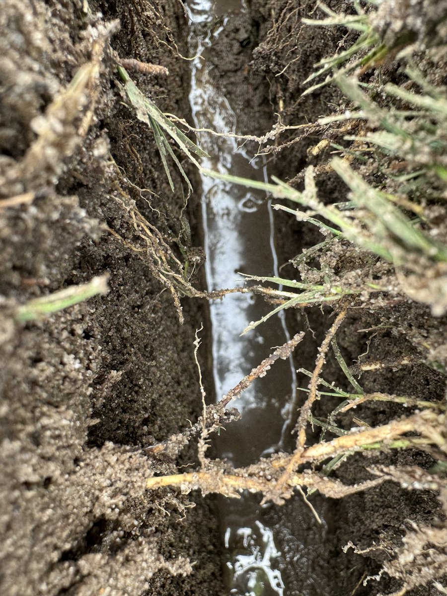 It’s so nice to see the ground water in the drainage lines reminding you why you are here. We had 3” over the weekend and were able to take a cart through there worst spots, that would have been roped off for days