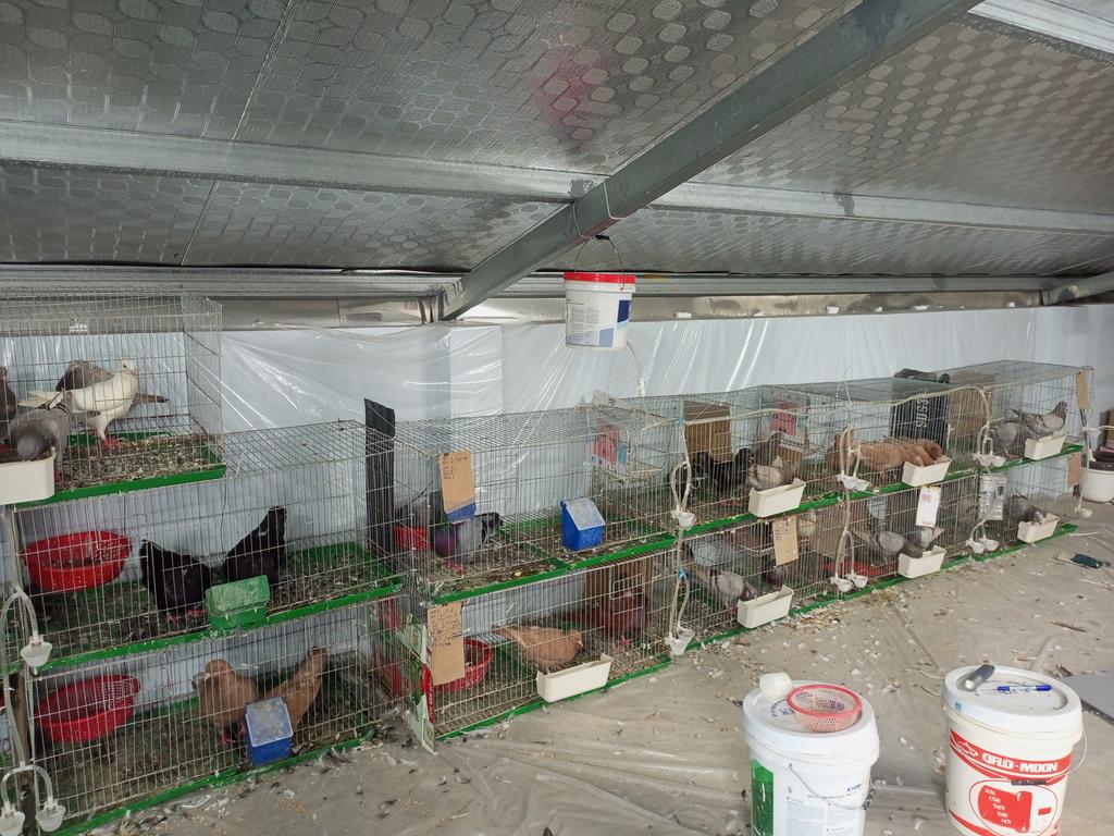 ducmo18's tweet image. Thú vui tao nhã