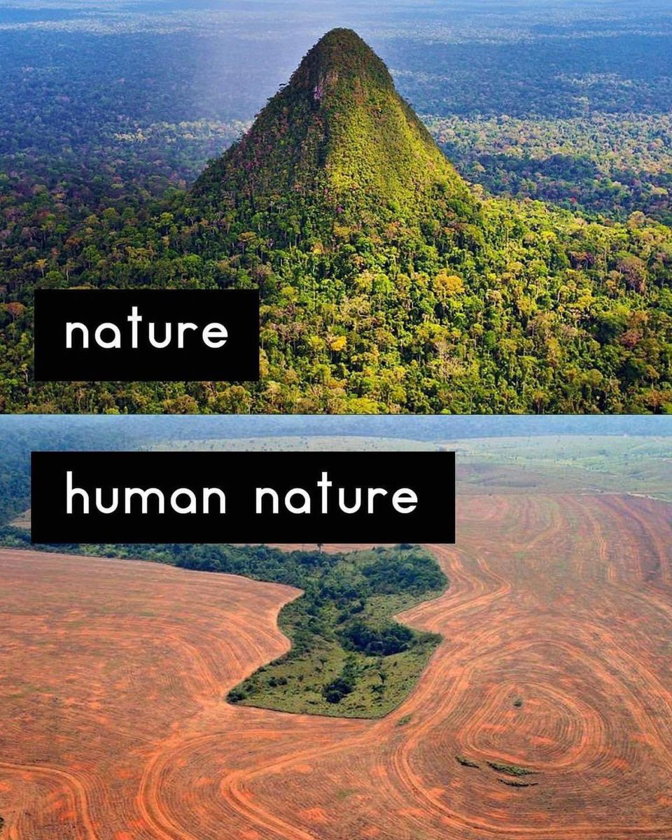 Enviro. Media Assoc. tweet media