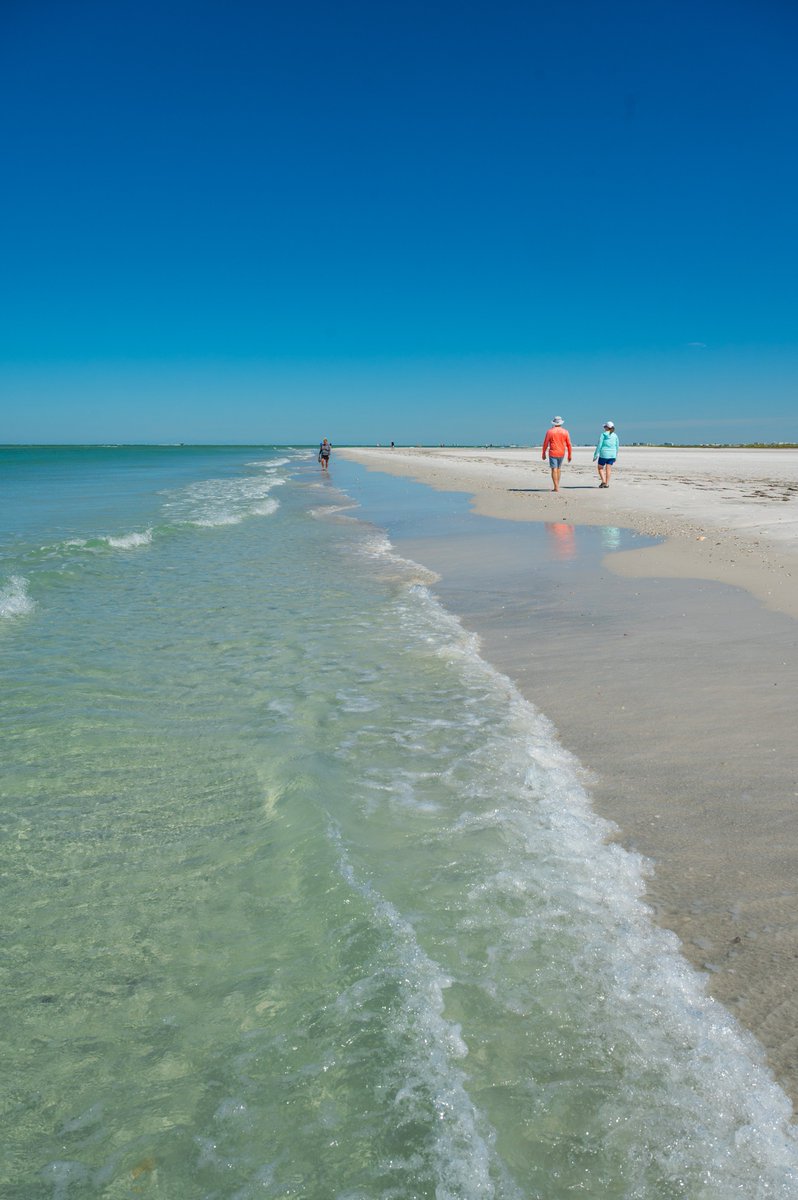 VisitSPC's tweet image. The effects of Hurricane Debby have minimally impacted the St. Pete-Clearwater area are happy to announce that all county parks, including Fort DeSoto Park, Sand Key Park, and Fred Howard Park, are now back open for you to enjoy! 🌞🌴🏖 #PinellasCountyParks #HurricaneDebby