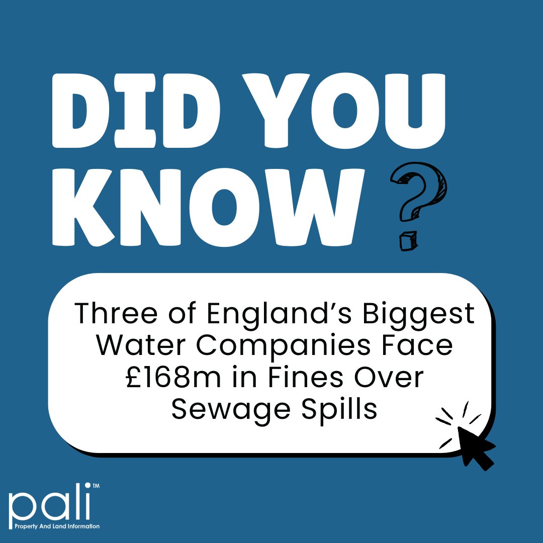 Amber Ritson tweet media