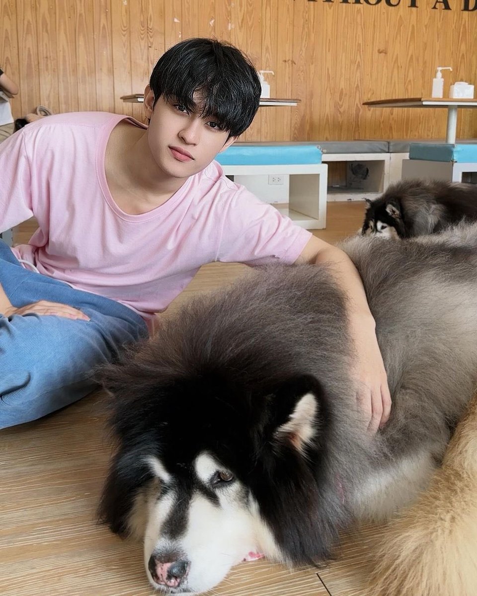 BarcodetinTrend's tweet photo. — barcode.tin IG Update 

หนูจะเลือกใครครับ ระหว่างพี่กับพี่ 🐶

@BarcodeTin 
#barcodetin 
#unit https://t.co/lYNoMaQfd2