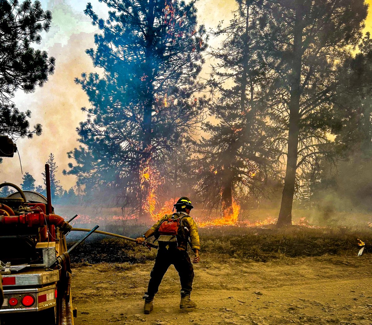 #NationalFireNews: August 6, 2024. Currently, 89 large active wildfires are being managed with full suppression strategies nationwide. Wildfires have burned 2,266,309 acres nationwide. 
More NFN: nifc.gov/fire-informati…