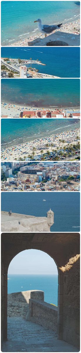 ShenYies's tweet photo. Alicante https://t.co/CDaVVUdaWI