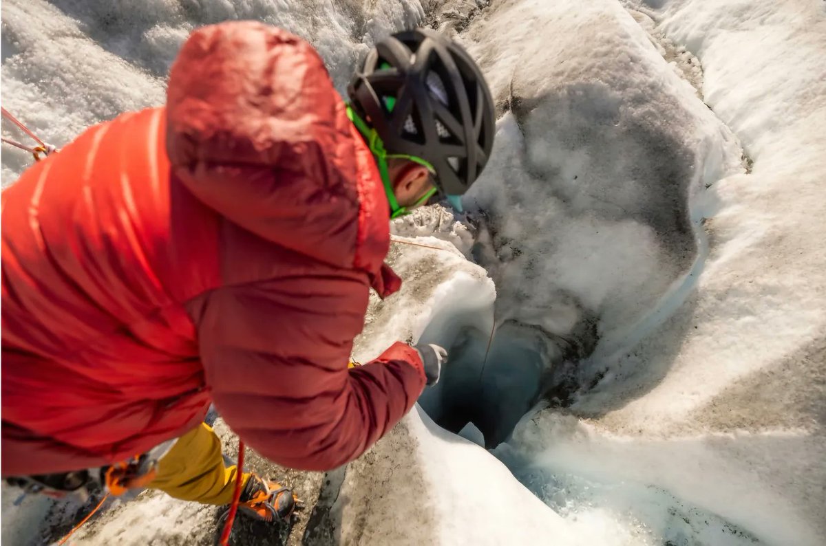 Matt Peacey tweet media