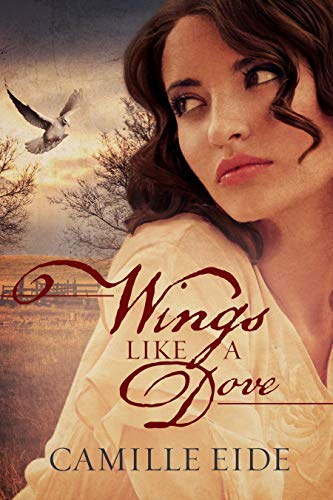 Is your #bookclub looking for your next read? Consider this historical tale of a young woman facing personal exile &amp; longing for connection. As an author, my desire is to encourage &amp; remind fellow travelers that even during difficult times, there is always Hope. #fiction