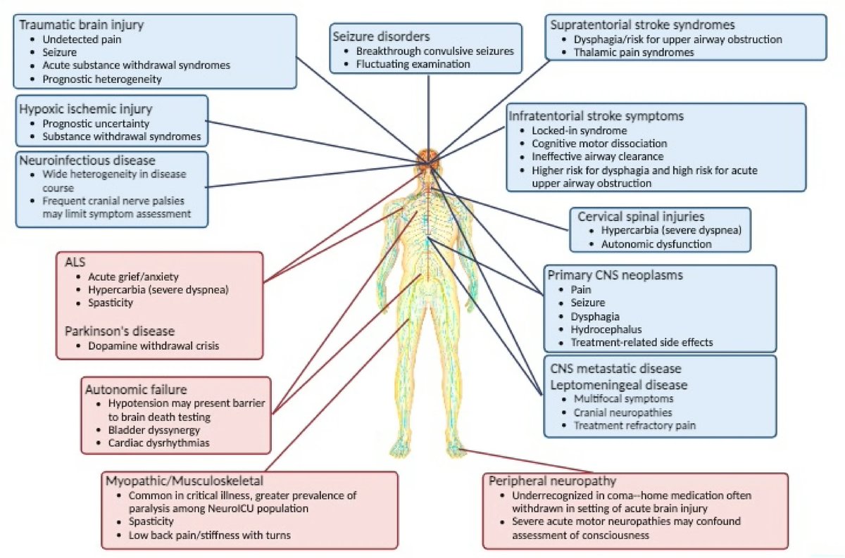 Care of the Patient Nearing the End of Life in the Neurointensive Care Unit

CCR Journal Watch
criticalcarereviews.com/latest-evidenc…

Get the latest critical care literature every weekend via the CCR Newsletter - subscribe at criticalcarereviews.com/newsletters/su…