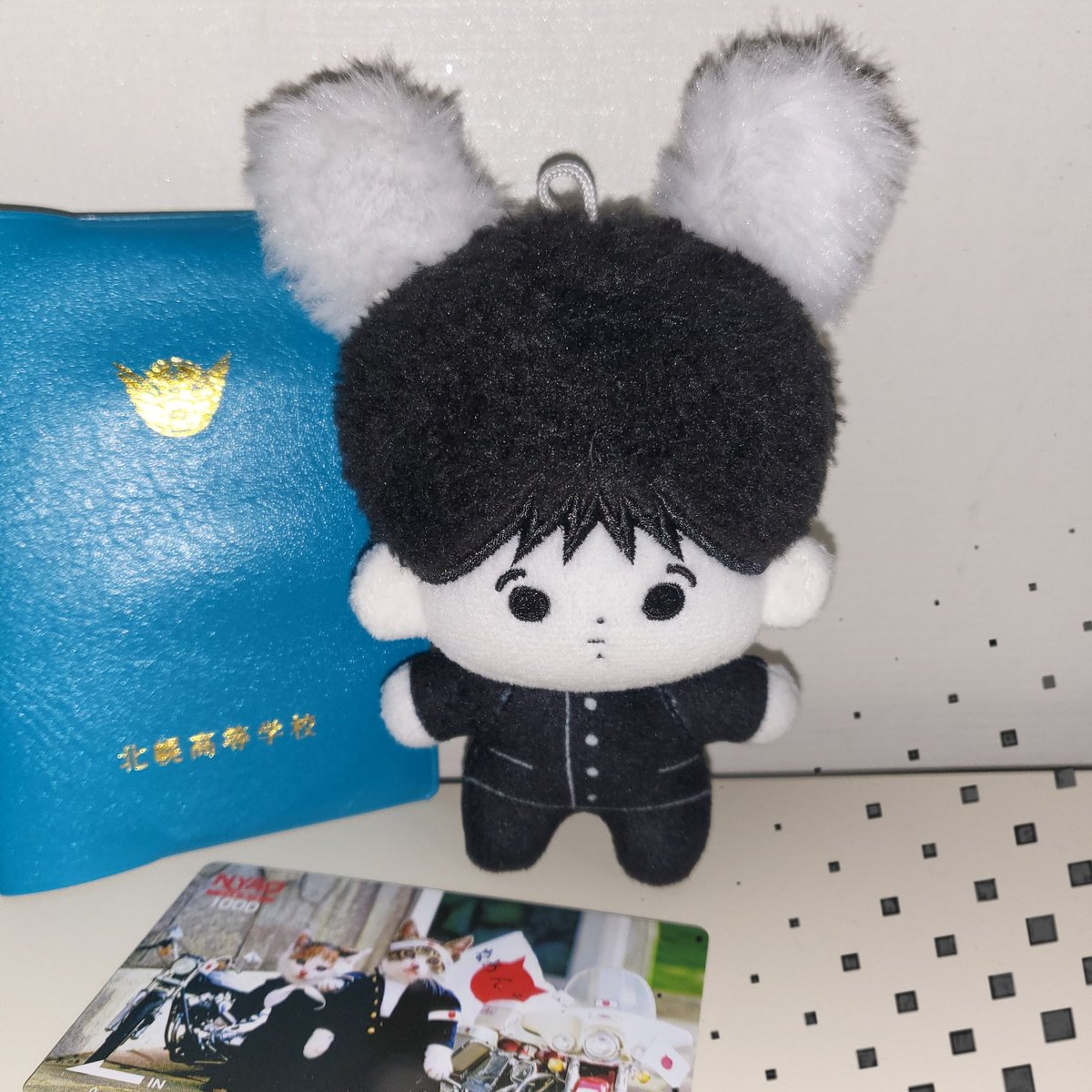 takirangjo's tweet photo. 저도 이 학교에 입학할래요
#ただいまぁぁぁぁぁぁぁぁぁ https://t.co/CAVFJyDiJg