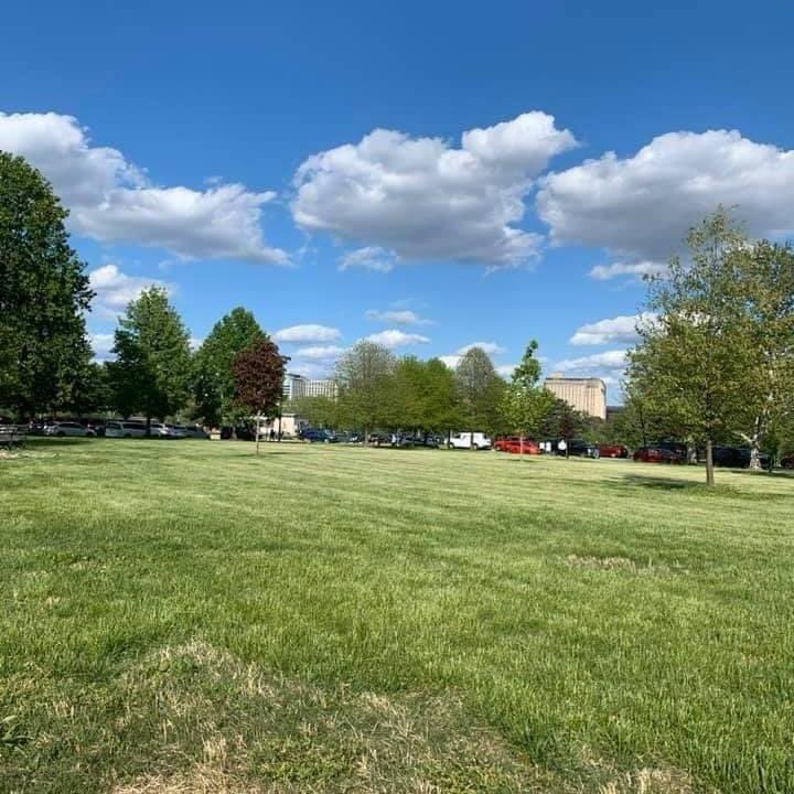 Rose Vincent (@rosevincent1129) on Twitter photo 