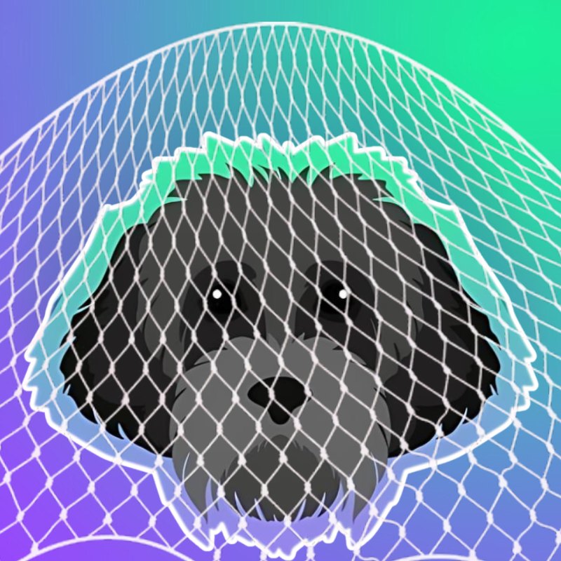 wrappedmyro's tweet photo. @xbtGBH wrapped myro

$wMYRO

Myro the dog: Named after Solana Co-Founder Raj Gokal’s dog Myro is wrapped.

https://t.co/jvfyoMchG9
https://t.co/v3ZkWhvhX6
https://t.co/Muam1kBuex

CA: DysokXsjipLEbxqgVMZJmZcynM4m6jQ56XyE7nRWpump

https://t.co/FxkStmIYHR https://t.co/pcLM65BEbJ