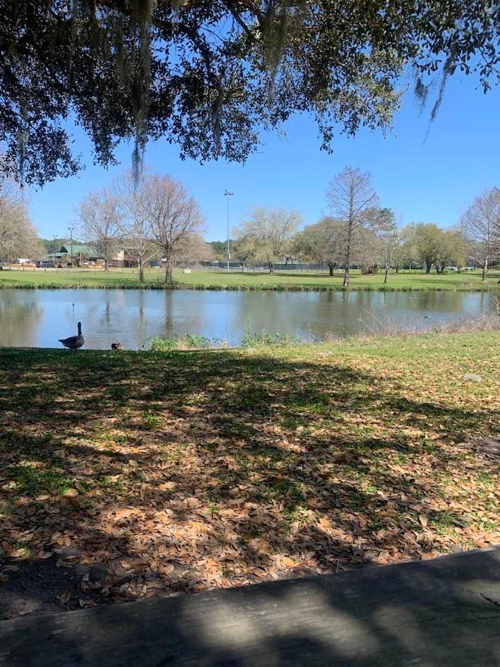 Rose Vincent (@rosevincent1129) on Twitter photo 