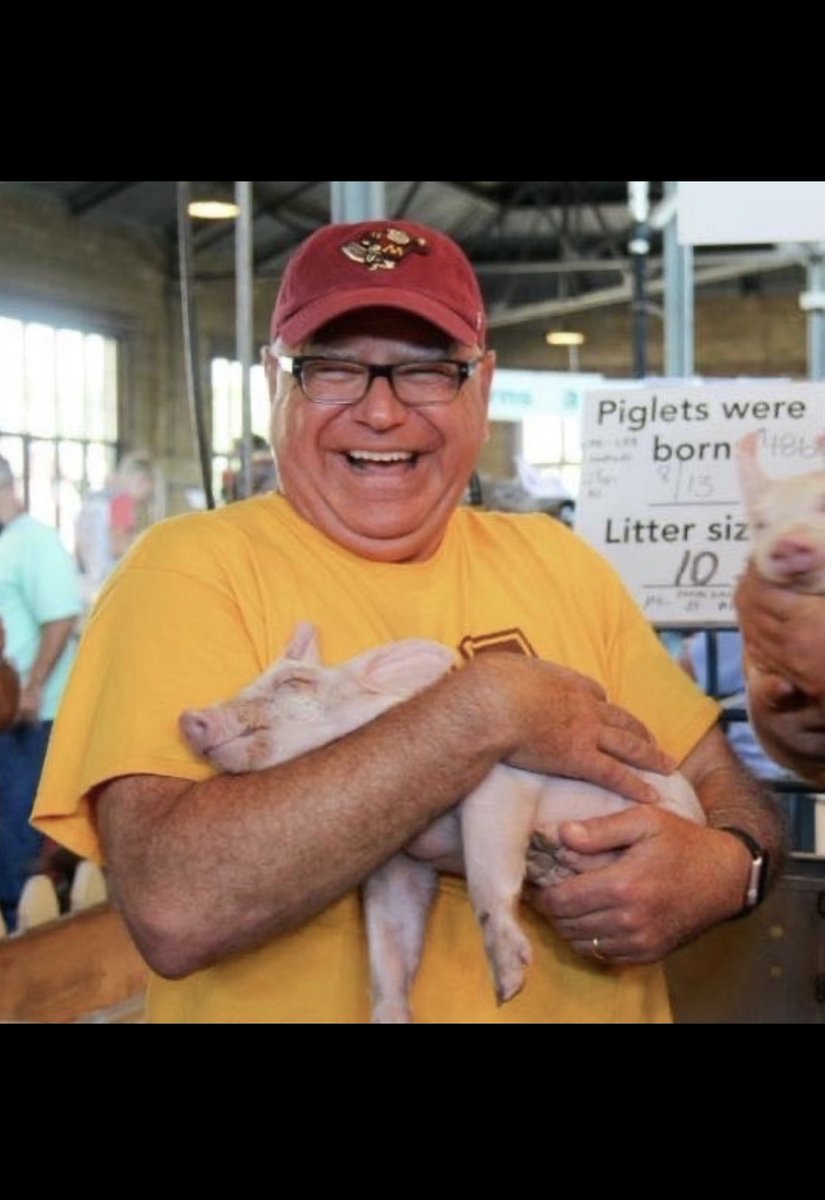 Dr Eliza Bechtold tweet media