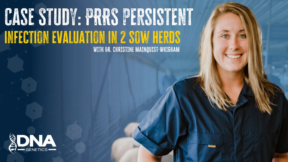DNAGenetics_NA's tweet photo. This podcast by Dr. Christine Mainquist-Whigham, Director of Health for DNA Genetics Nucleus and Pillen Family Farms, reviews two case studies that examine PRRS shedding patterns and much more!
https://t.co/BZe1RZmckL https://t.co/gsJT6FgUv3