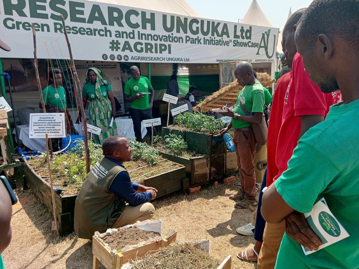 AGRIRESEARCHLtd's tweet photo. #DoubleDigging practice is among the #regenerative agri-practices we’ve been researching at our Green Research Center #AGRIPI.It involves tilling soil to a depth of 60 cm and mixing it with biochar &amp; #compost.
Want to know more? Visit our stand at #RwandaAgrishow2024- Mulindi! https://t.co/bsQ72VjHvk