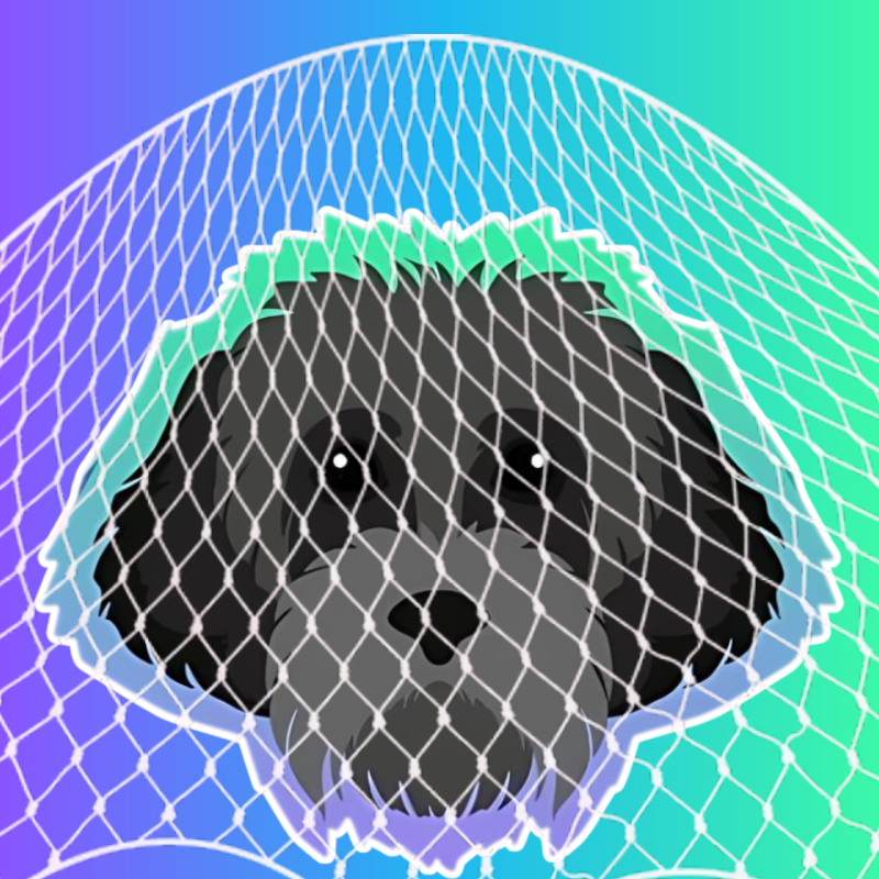 wrappedmyro's tweet photo. @blknoiz06 wrapped myro

$wMYRO

Myro the dog: Named after Solana Co-Founder Raj Gokal’s dog Myro is wrapped.

https://t.co/jvfyoMchG9
https://t.co/v3ZkWhvhX6
https://t.co/Muam1kBuex

CA: DysokXsjipLEbxqgVMZJmZcynM4m6jQ56XyE7nRWpump

https://t.co/mOlA20mAcB https://t.co/8mG4rGmsIv
