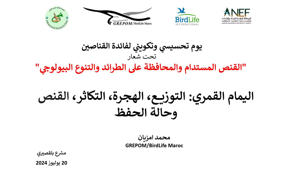 GREPOMBirdlife's tweet photo. GREPOM organised awareness-raising events for hunters at El-Jadida: https://t.co/qCkHPUKXTG&amp;
At Bel-Ksiri: https://t.co/vXEynzcMpU

(Extended English summaries below the photos in both links).

#SustainableHunting #IKB #SafeFlyway #MoroccanBirds #OiseauxDuMaroc https://t.co/Pfk5Wvwuz1