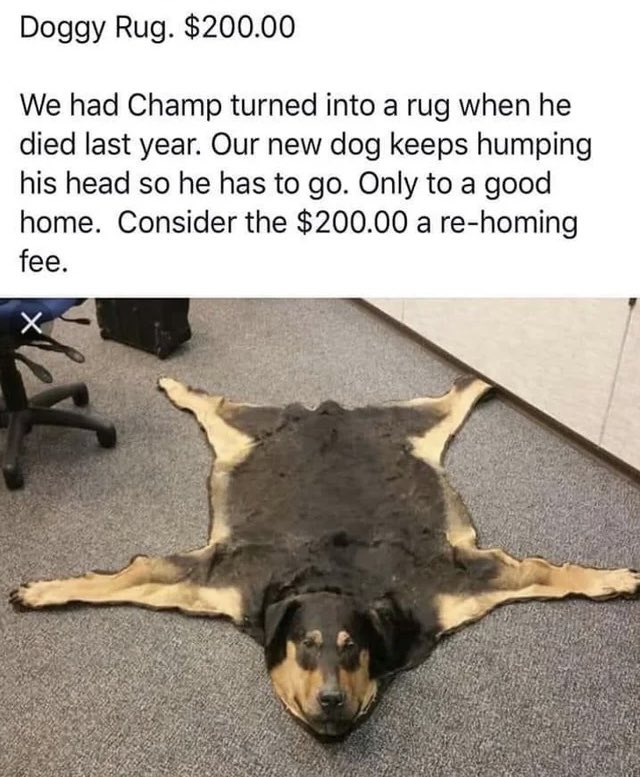 Rugdog_Solana's tweet photo. Launching on https://t.co/xdCx91nnZe very soon 🙌
Make sure to keep your eyes peeled on our announcements! If haven’t already make sure to join to TG will be dropping CA there first then after onto X 🙏
#Rugdog #memeccoin #Crypto #Solanamecoin #Solana https://t.co/HctQ9331vB