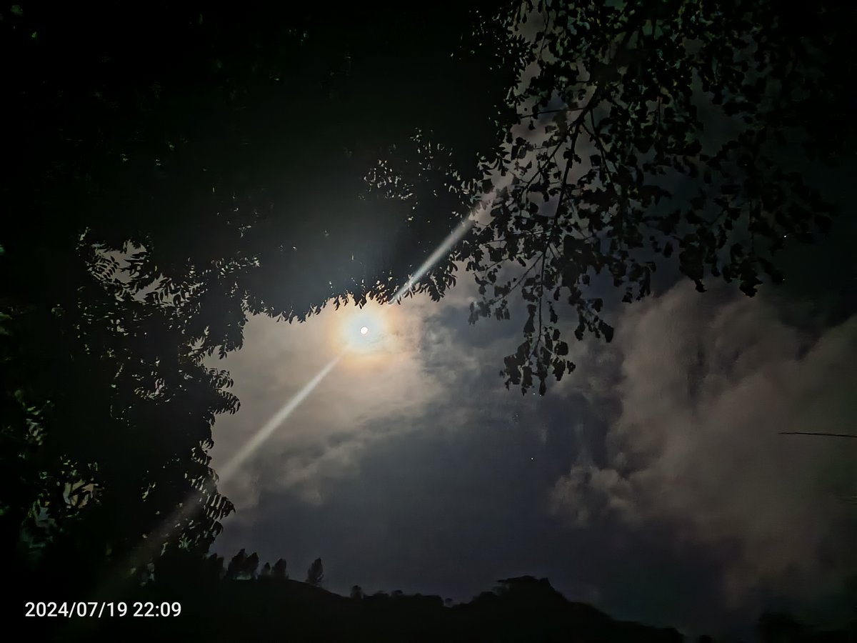 Infocentro Bicentenario tweet media