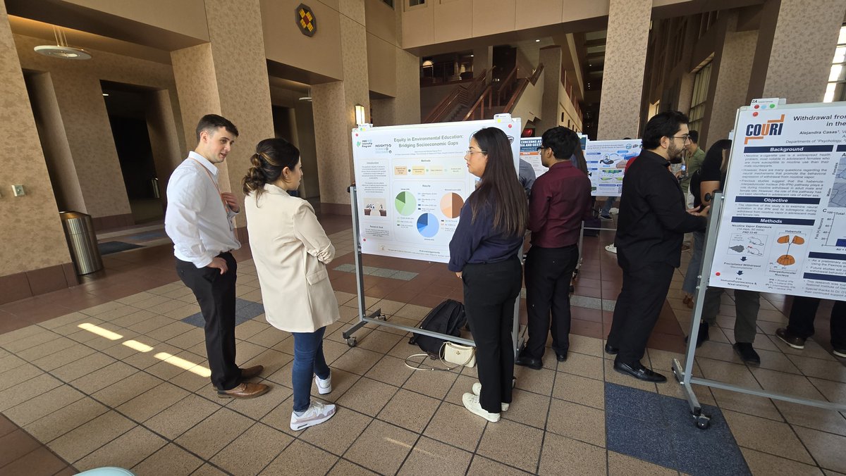 Insights El Paso tweet media