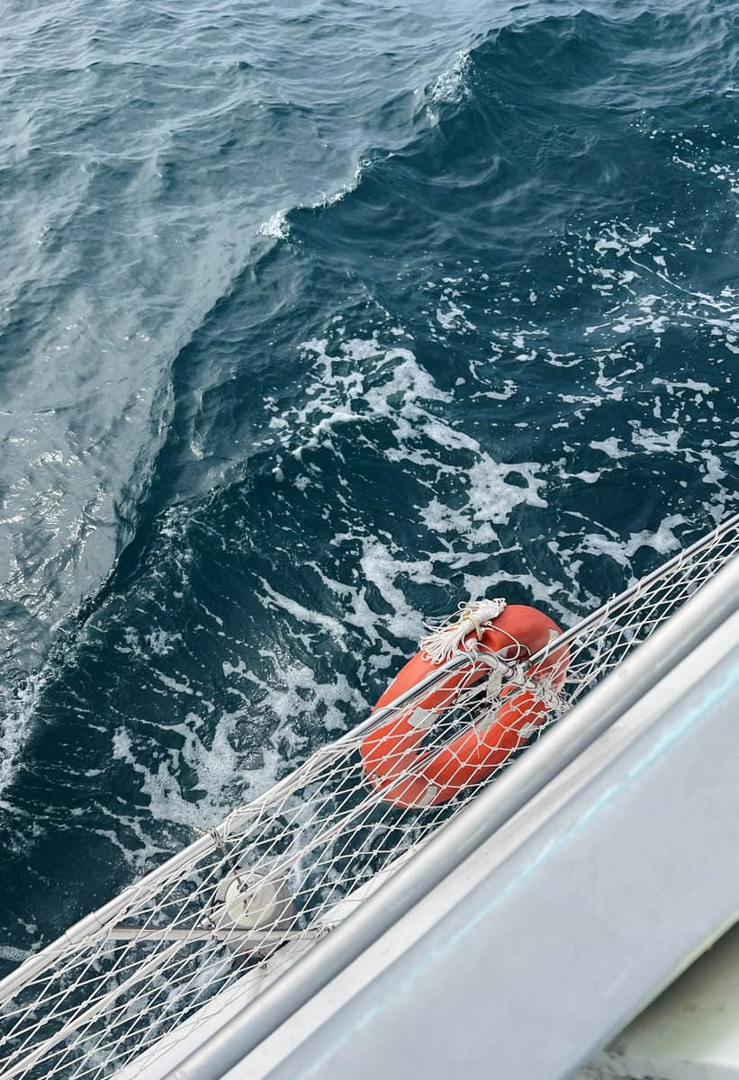 1rkh1's tweet photo. 🎣 🛥️ 🌊
ᴀᴜɢᴜꜱᴛ 6ᴛʜ https://t.co/BMjjGPu0ge
