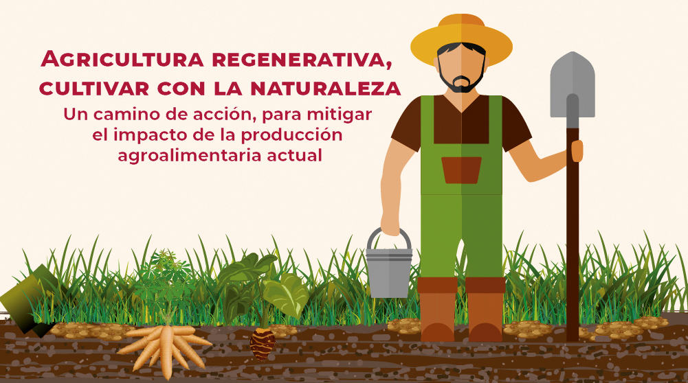 DGSIAP_Mx's tweet photo. La salud del suelo, un aspecto fundamental de la #AgriculturaRegenerativa. #SIAPInforma#AgriculturaMexicana 👉 https://t.co/CeD55xM1yA https://t.co/fjaWscRXfC