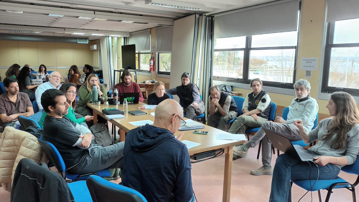 FMarPatagonico's tweet photo. Con el apoyo técnico de científicos del CONICET y del #ProyectoMaRes, la iniciativa es coordinada por el @FMarPatagonico, implementada por @wcsargentina, @AvesArgentinas, @Vida_Silvestre, @penguin_gpsGlobal y @fcdemocratico, organizaciones que integran el Foro. https://t.co/AOn8SNOKxZ