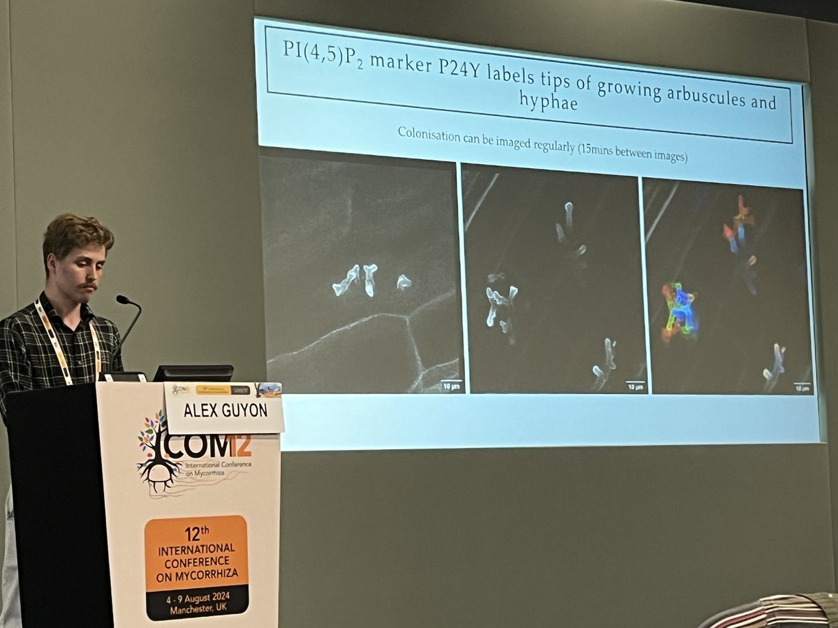 dromius's tweet photo. Phospholipids as dynamic markers of the growing ends of arbuscules formed by symbiotic AM fungi presented by @AlexWGuyon with 15 min time lapse live imaging in N. benthamiana roots @ICOM_12 #ICOM12 https://t.co/zdLTtNCJyk