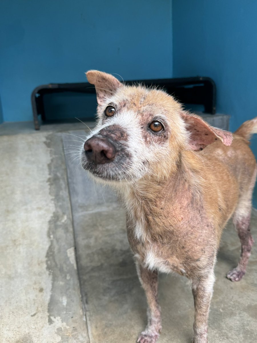 Niall Harbison tweet media