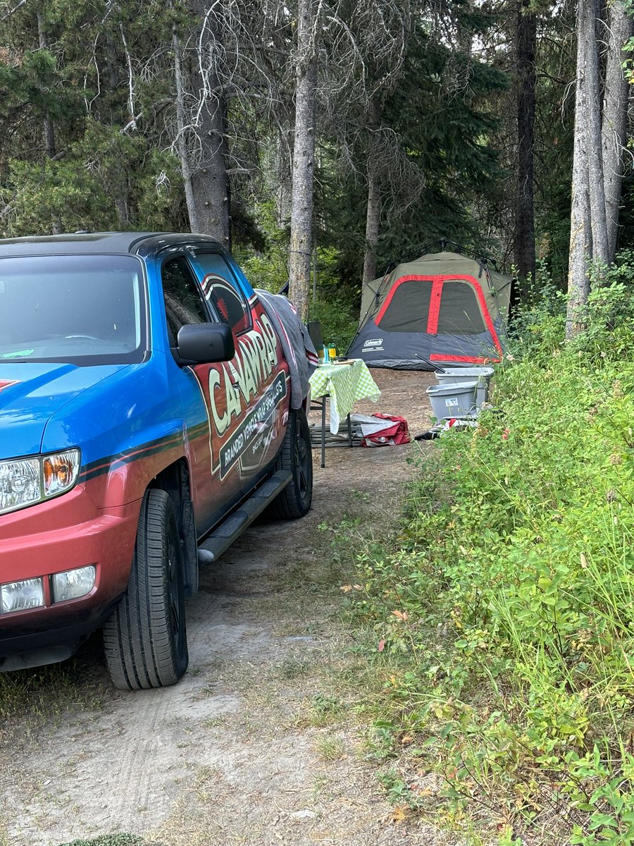 Even branding to the wildlife 🤪