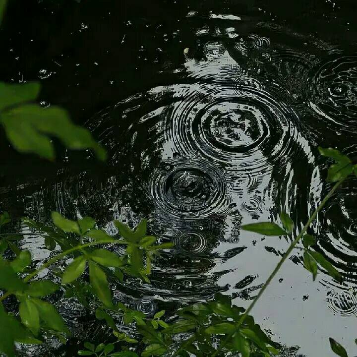 artindetails's tweet photo. — stillness. https://t.co/SpcFYF4GbY
