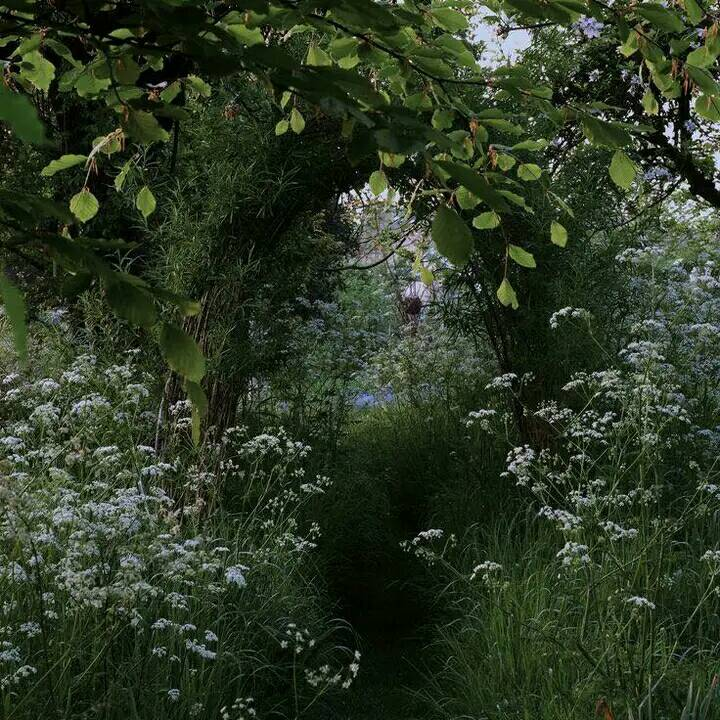 artindetails's tweet photo. — stillness. https://t.co/SpcFYF4GbY