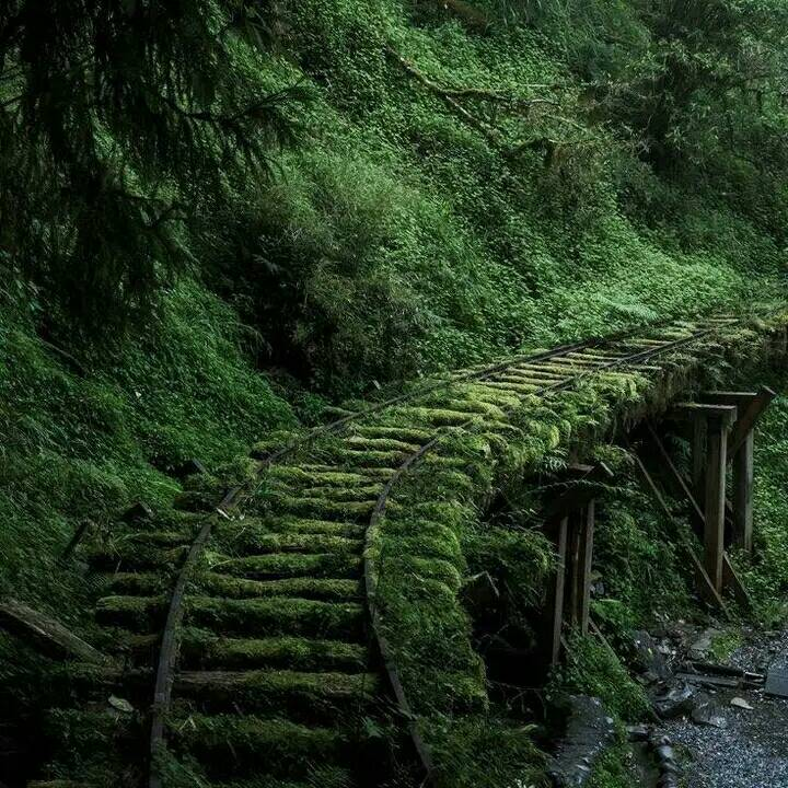 artindetails's tweet photo. — stillness. https://t.co/SpcFYF4GbY