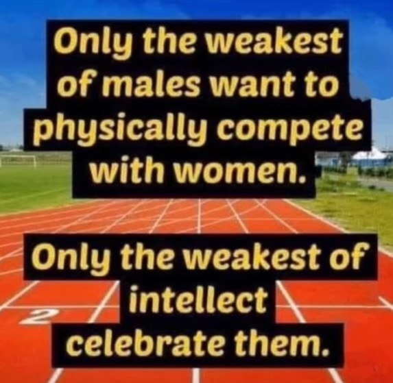 TedNugent's tweet image. 