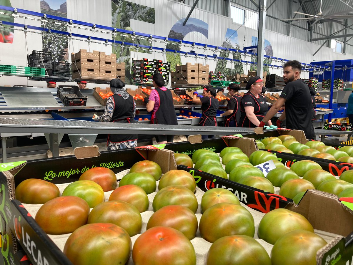 IgualdadGranada's tweet photo. Visita de @DuqueMerino, diputada de Bienestar Social, Igualdad y Familia de @dipgra a Lecar, frutas y verduras, empresa de #VentasdeZafarraya, con 100 trabajadores, donde un 80% de la plantilla son mujeres.  Personal muy satisfecho con 𝐆𝐫𝐚𝐧𝐚𝐝𝐚 𝐂𝐨𝐫𝐫𝐞𝐬𝐩𝐨𝐧𝐬𝐚𝐛𝐥𝐞 https://t.co/Kpvl0GJIuM