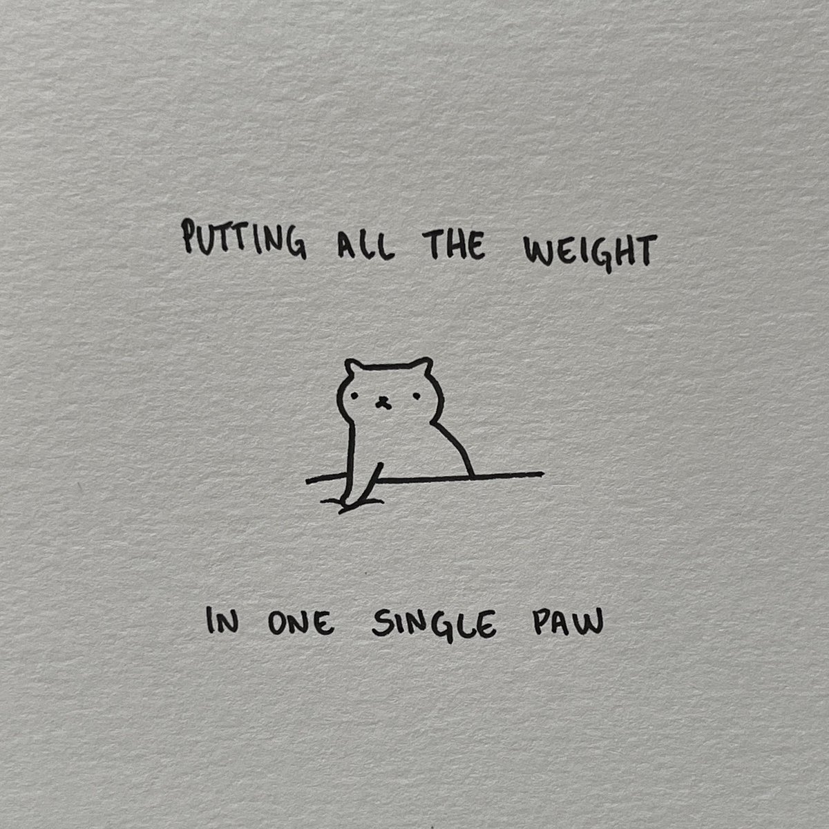 poorly drawn cats tweet media